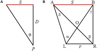 A Binocular Information Source for Size Perception